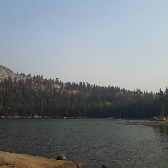 Meet your Posher, Dennys - Picture 3 of 9